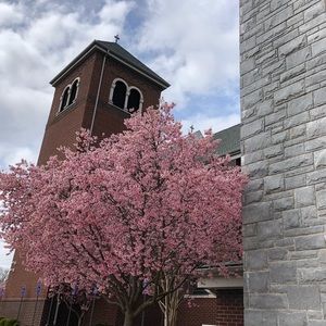 Meet your Posher, Virginia